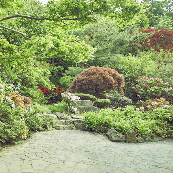 エルムガーデン日本庭園