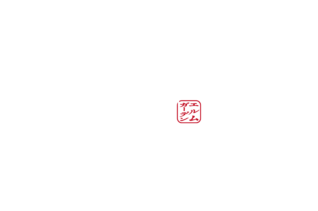 The fantastic and beautiful japanese winter