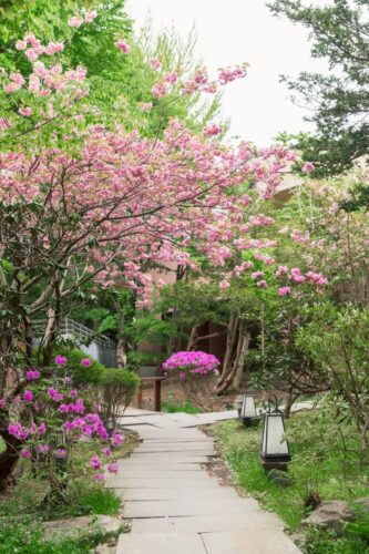 【5月8日まで開催！】エルムガーデンのお花見会席