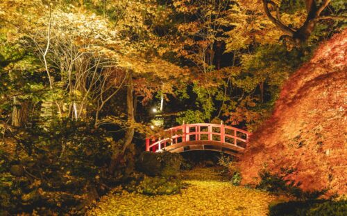 【札幌】紅葉に彩られる日本庭園。秋を楽しむランチ・ディナー