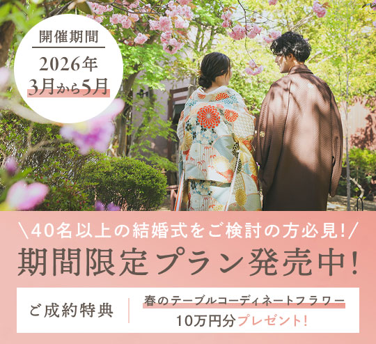期間限定プランを発売中！